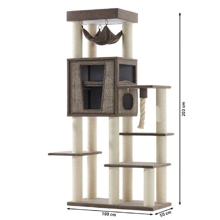 Nobby Kratzbaum Kasil